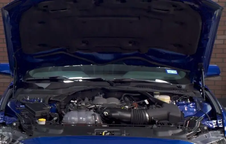 Struts 2015-2021 Ford Mustang için 6th S550 Steeda Değiştirmek Ön Kaput Bonnet Kaldırma Desteği Şok Çubuk Kolu Damperi gaz yaylı amortisör