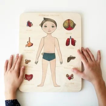 Montessori Ahşap Bulmaca Erkek Kadın İnsan Vücudu Parçaları Maç Kurulu bulmaca oyun İç Organlar Eğitici Ahşap Yapboz